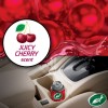 Εικόνα της TURTLE WAX AIRCON ODOR-X CHERRY