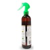Εικόνα της ELIX AROMAS OF NATURE ROSEA 300ML