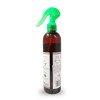 Εικόνα της ELIX AROMAS OF NATURE GINSENG 300ML
