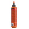 Εικόνα της ARMOR ALL PROTECTANT  GLOSS 300ML