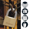 Εικόνα της MASTER LOCK BRASS PADLOCK HEXAGONAL 50MM 1155D